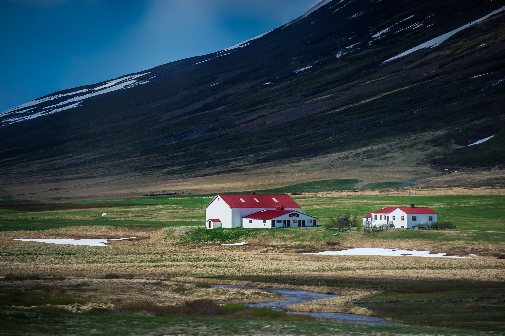 Read more about the article Icelandic Farm